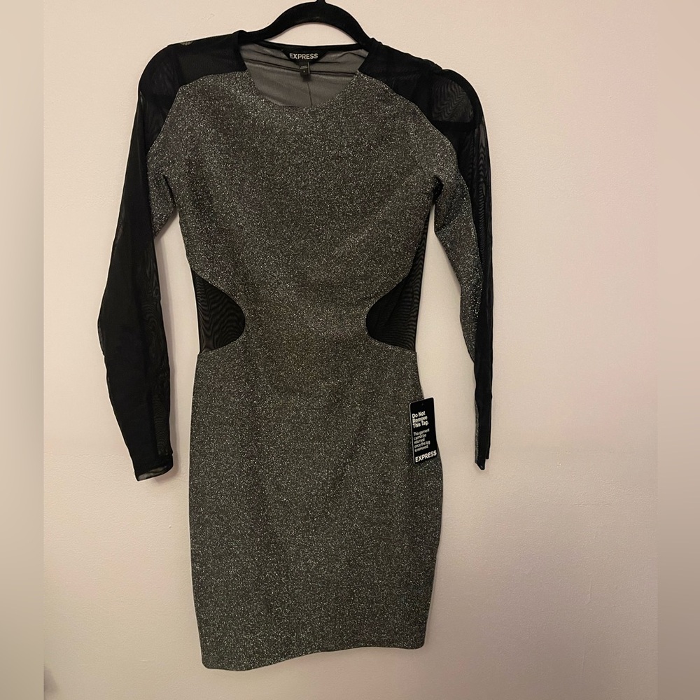 Express Metallic Shimmered Gray and Black Shear Long Sleeve Dress